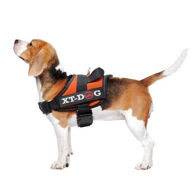 Arn�s de seguridad naranja XT-DOG 60 cm