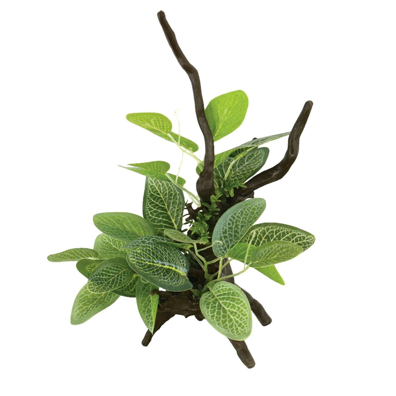 Troncos con plantas de ICA 16,5x16,5x22 cm
