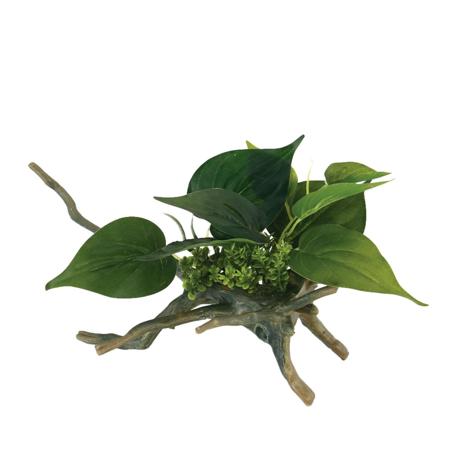 Troncos con plantas de ICA 16,5x16,5x22 cm