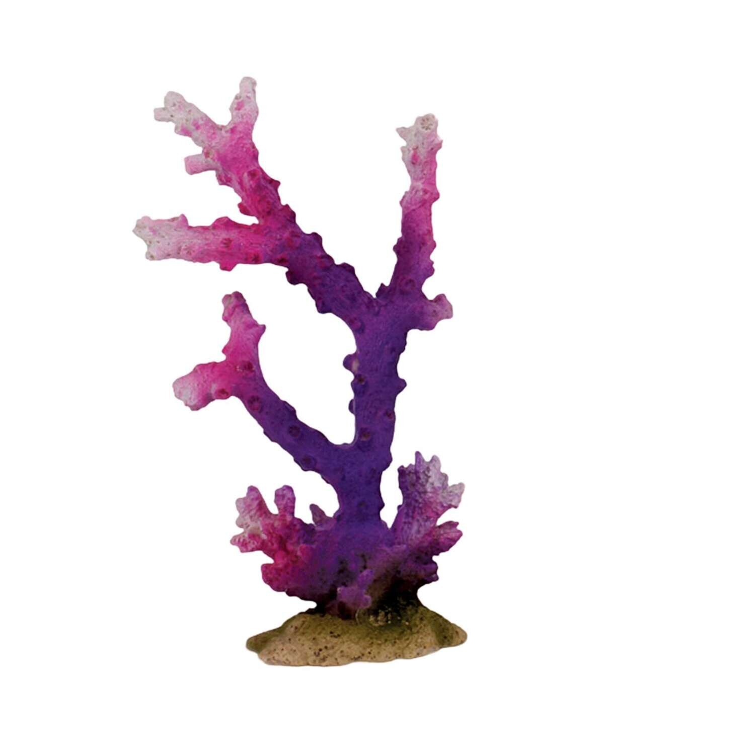 Corales de ICA 18x6x10,5 cm