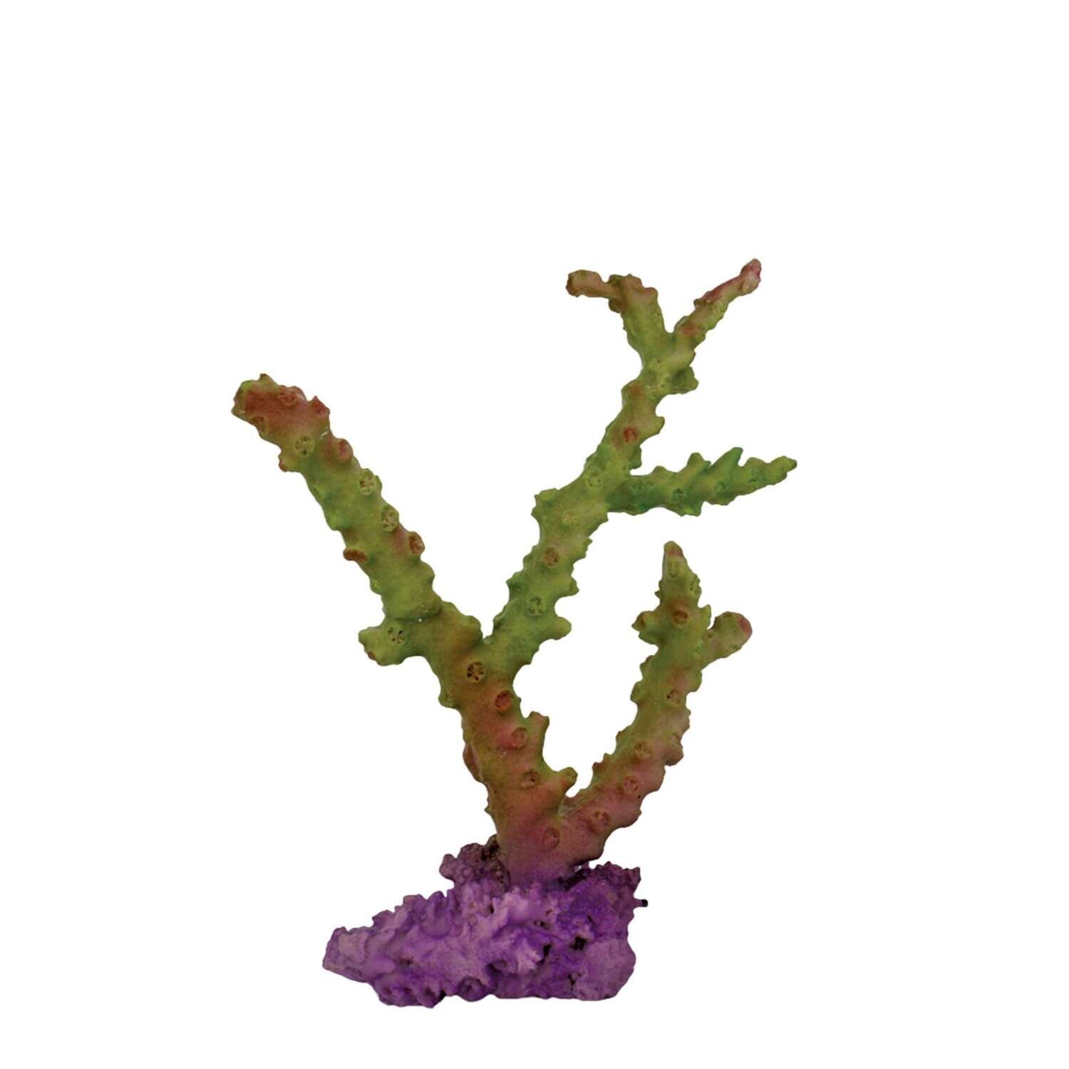 Corales de ICA 23x8x18,5 cm