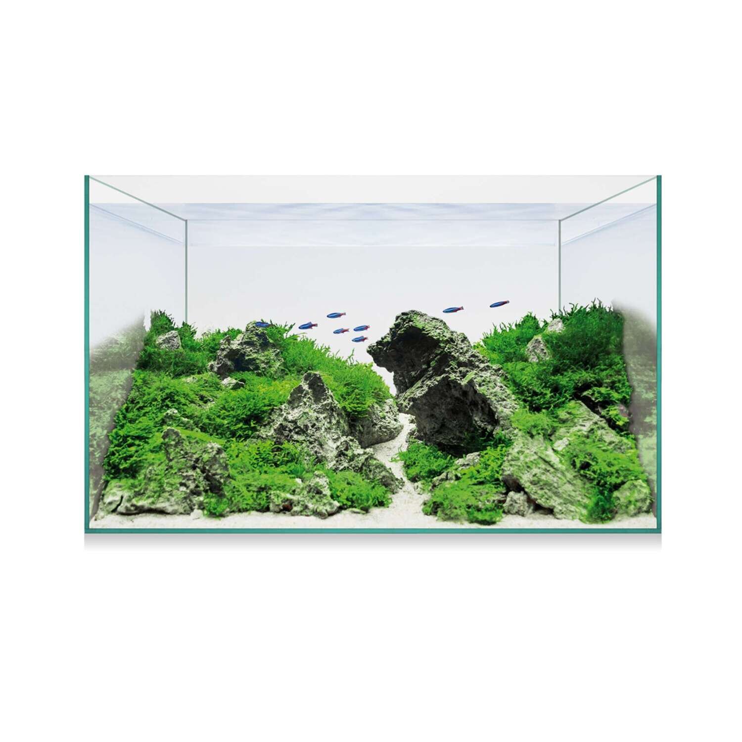 Kit AQUASCAPE BASIC 14 35x20x21 cm