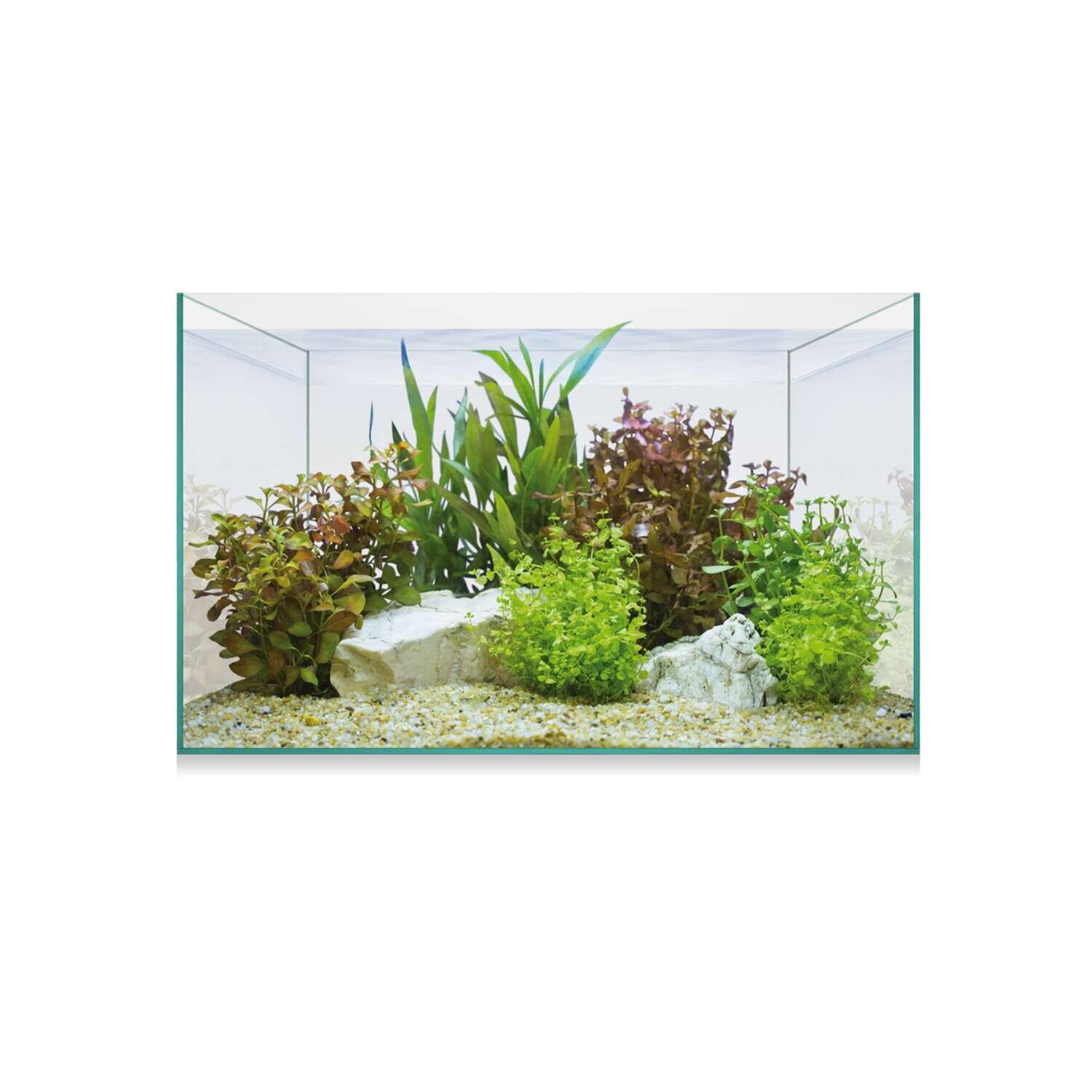 Urna AQUASCAPE BASIC 8 30x15x18 cm