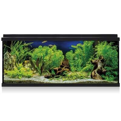 Kit AQUA LED 100 con filtro interior 79,7x30,5x44,2 cm