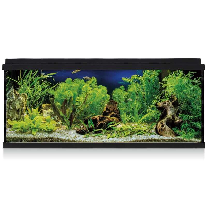 Kit AQUA LED 100 con filtro interior 79,7x30,5x44,2 cm