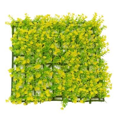 Planta salvacr�as amarilla 25x25 cm