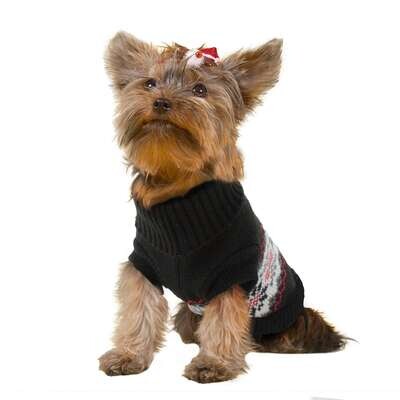 Jersey invierno negro de ALPHA DOG 35 cm
