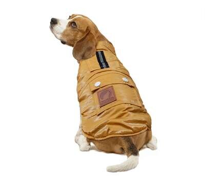 Abrigo metalizado mostaza de ALPHA DOG 20 cm