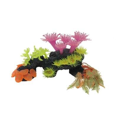 Conjunto deco-reef de ICA 271017 cm