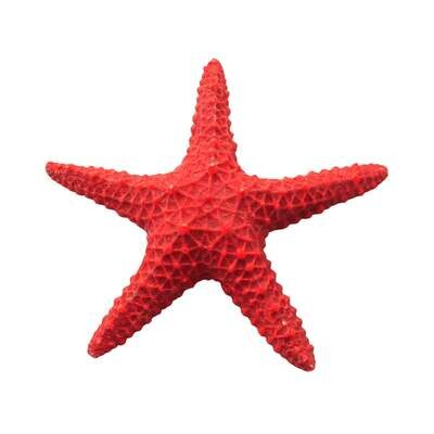 Estrellas de mar de ICA 15,5 cm