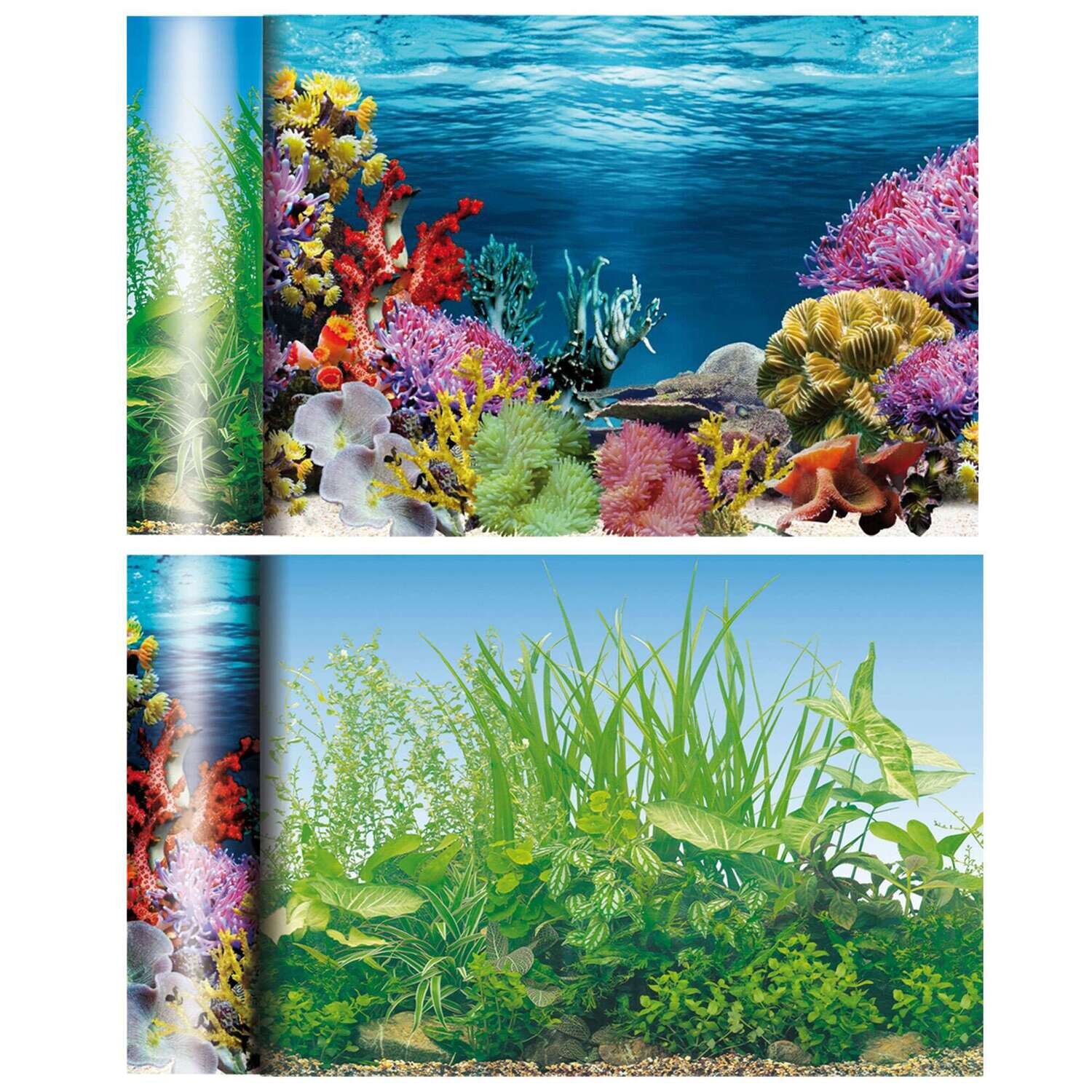 Fondo de doble cara (Caribe / Estanque) 1500x60 cm