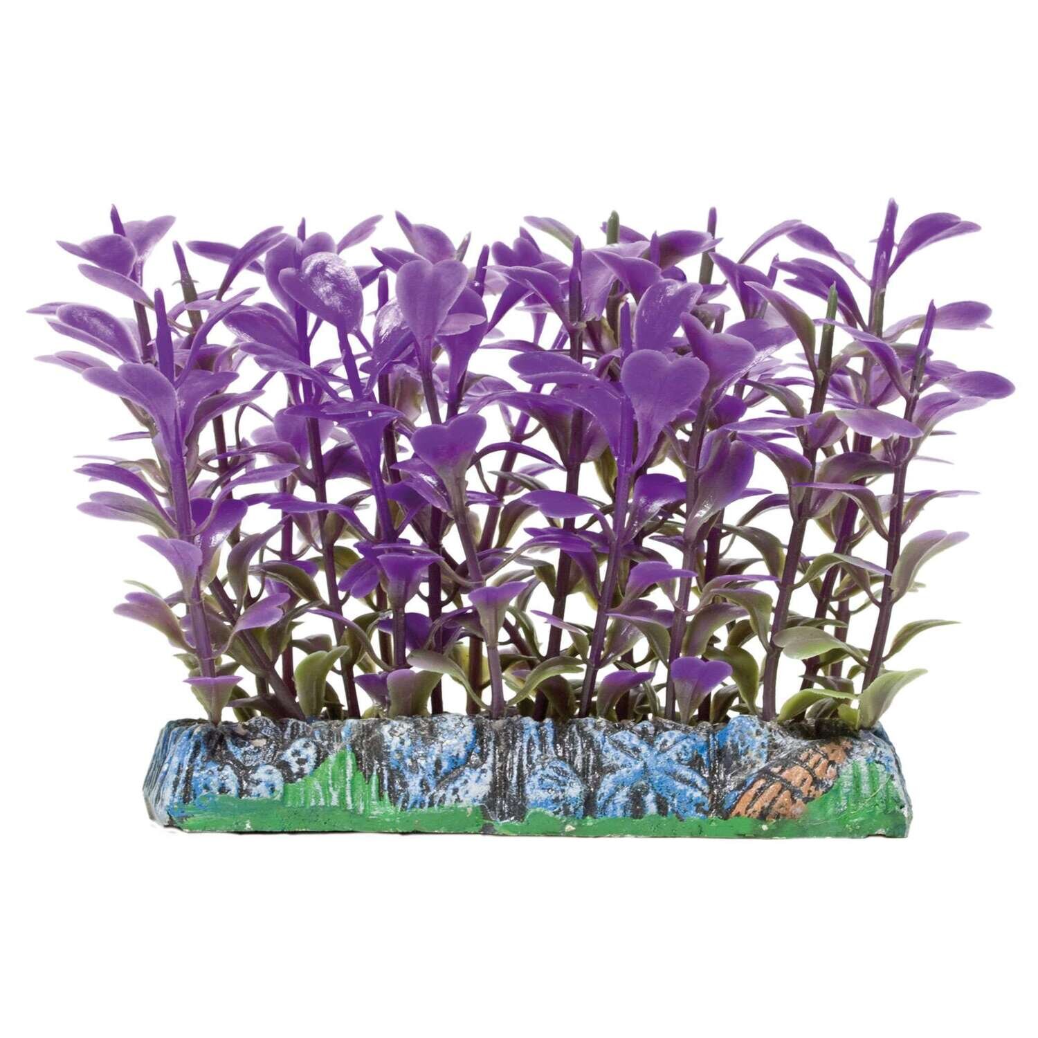Salvacr�as Trichocoronis AQUATIC PLANTS (PL�STICO) 9x7,5 cm