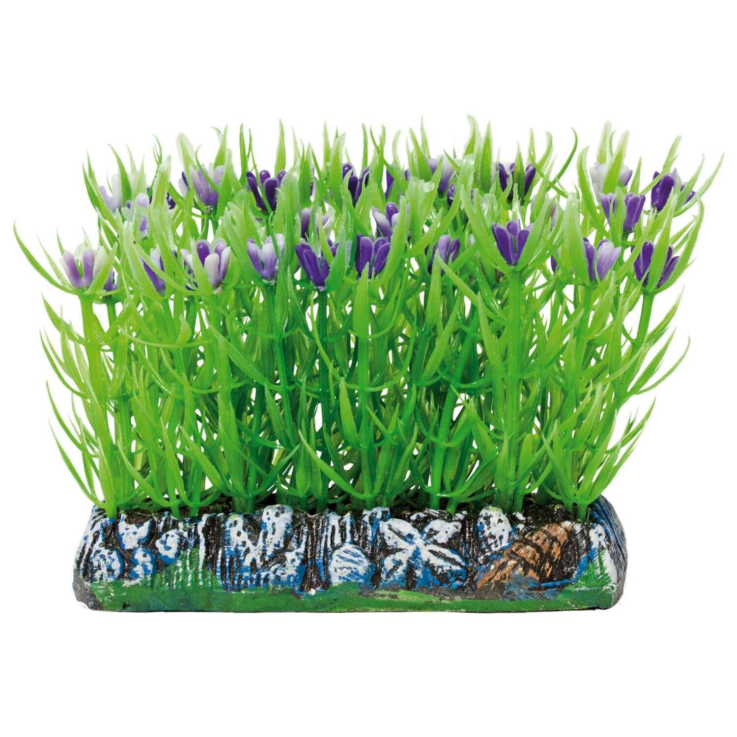 Salvacr�as Limnophila AQUATIC PLANTS (PL�STICO) 9x7,5 cm