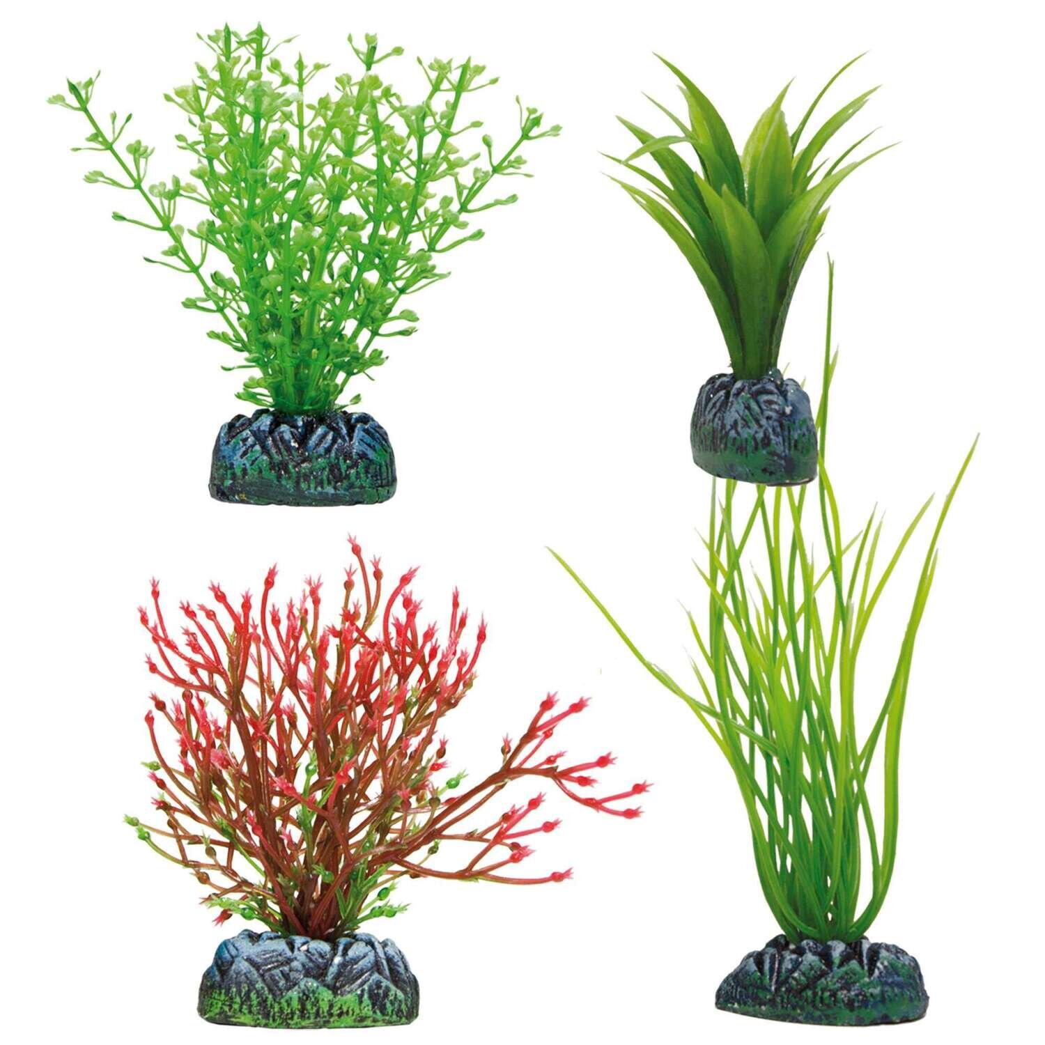 SET AQUATIC PLANTS (PL�STICO)