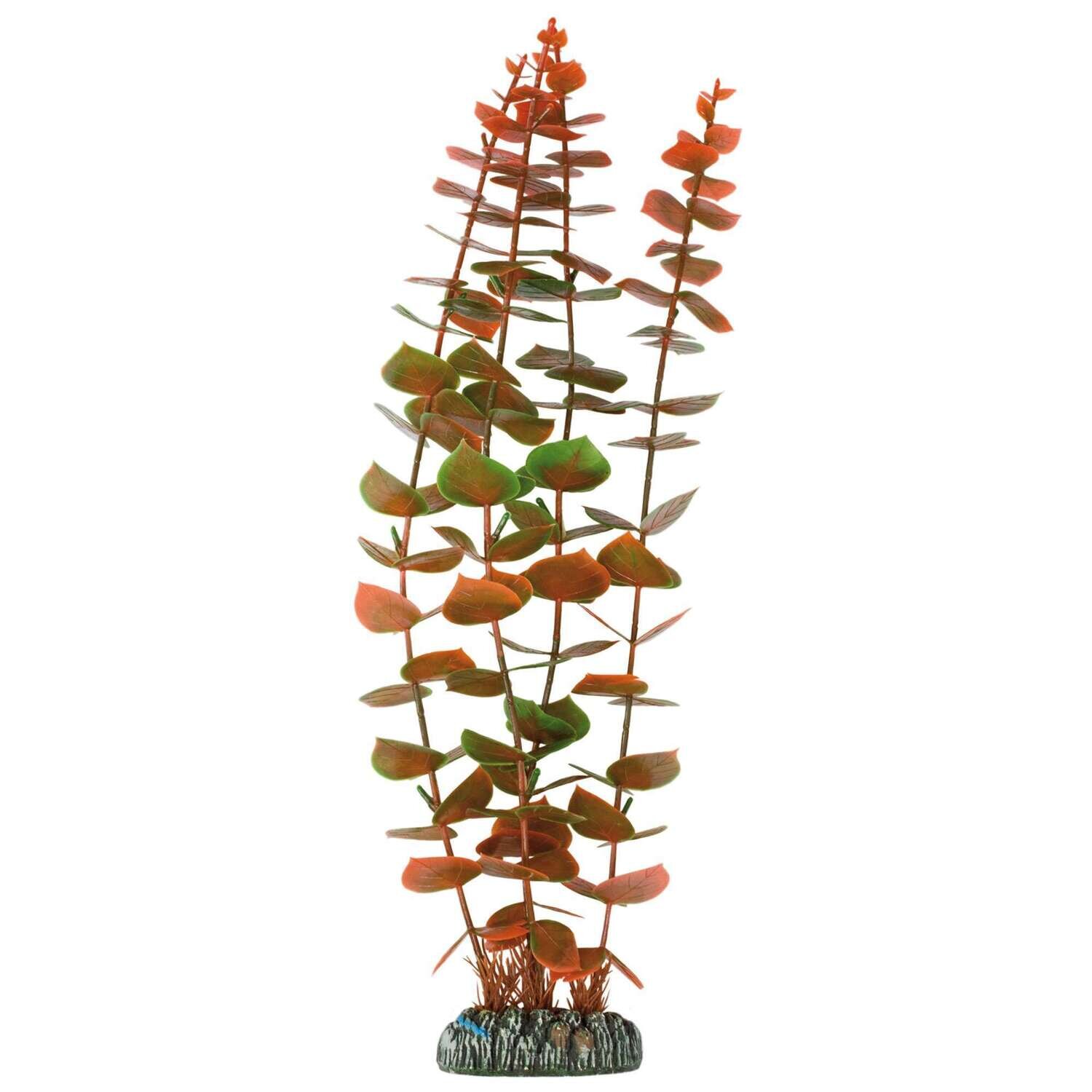 Alternanthera de AQUATIC PLANTS (PL�STICO) 39 cm