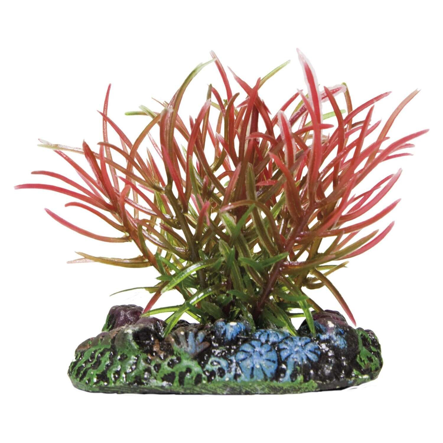 Blyxa de AQUATIC PLANTS (PL�STICO) 5 cm
