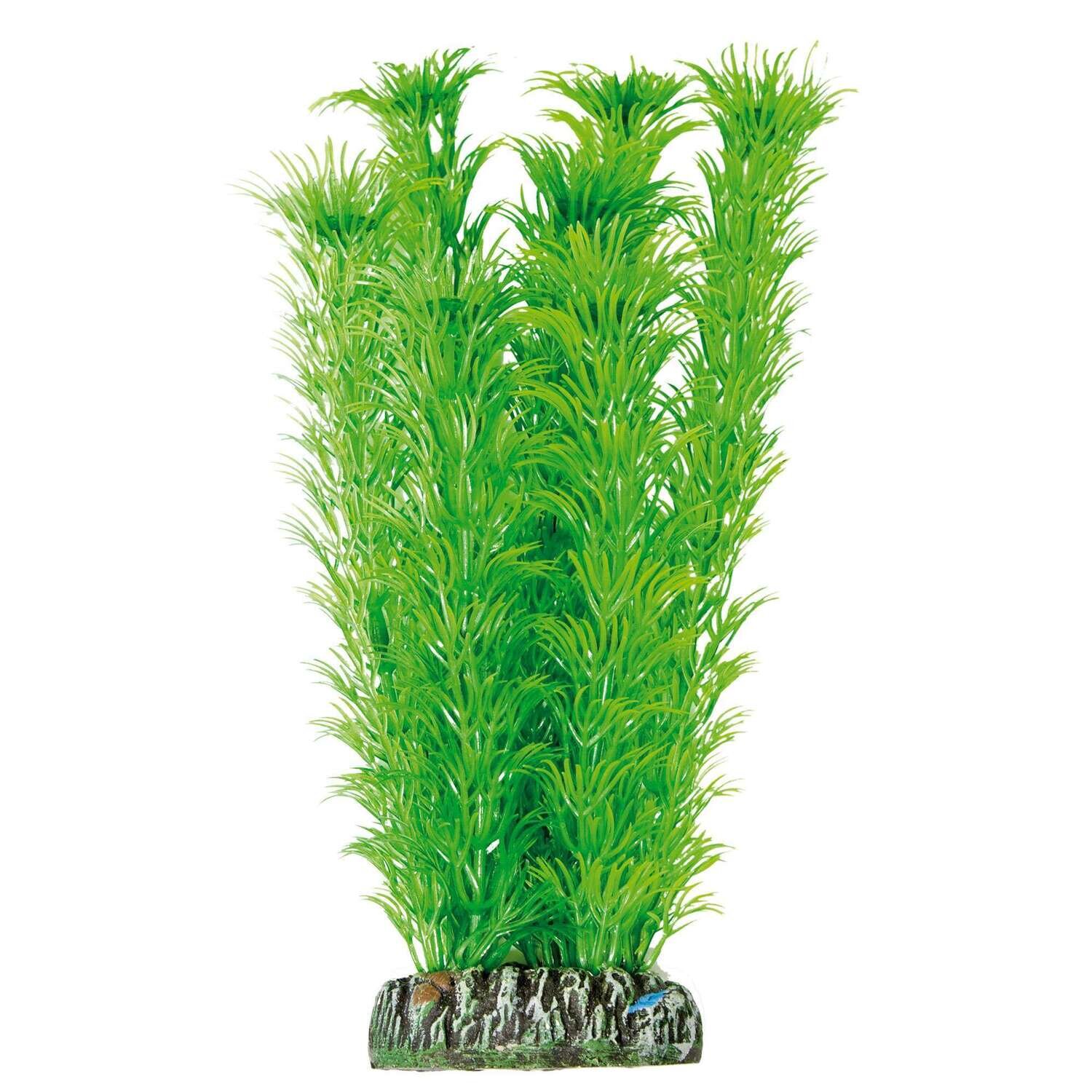 Ambulia de AQUATIC PLANTS (PL�STICO) 21 cm