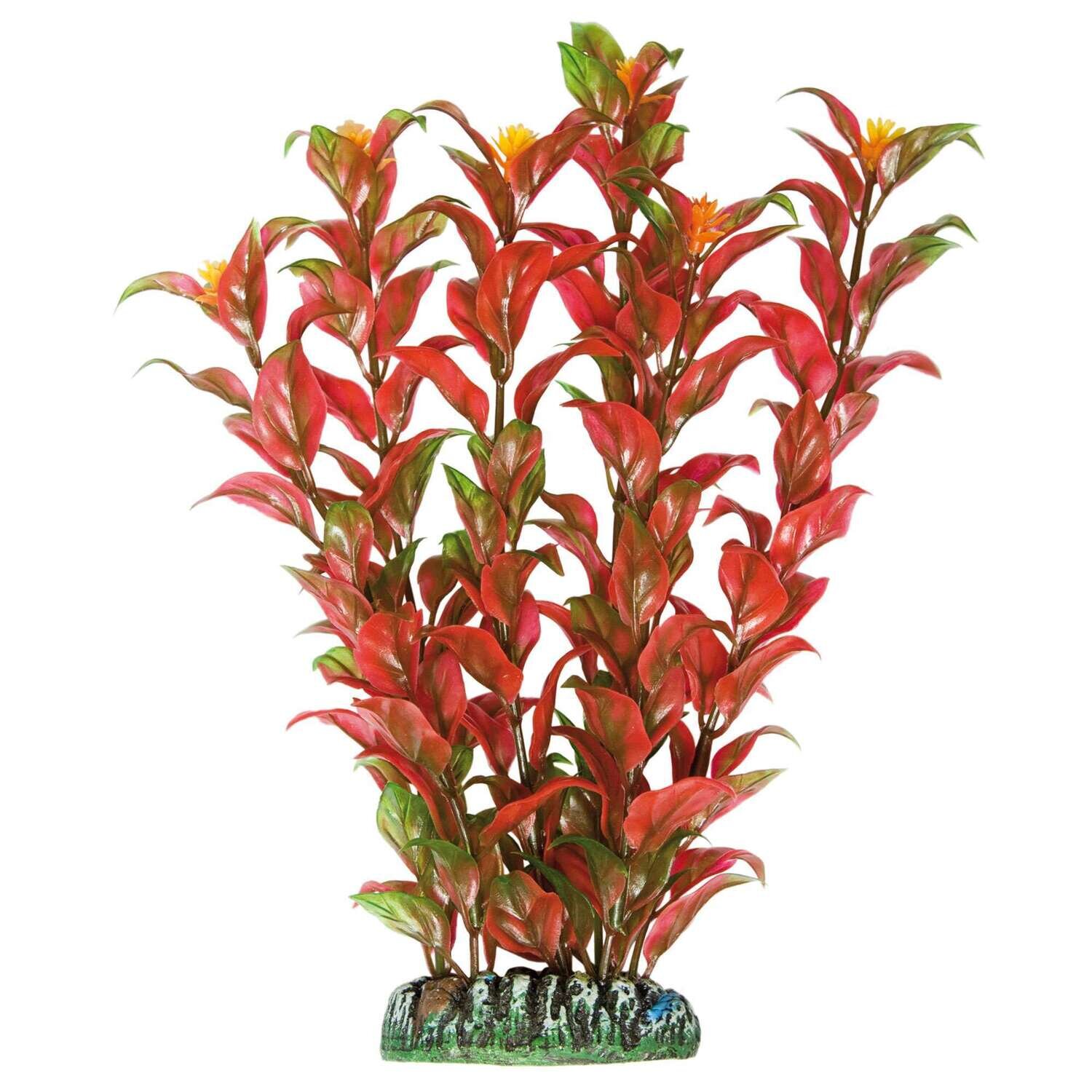 Alternanthera de AQUATIC PLANTS (PL�STICO) 22 cm