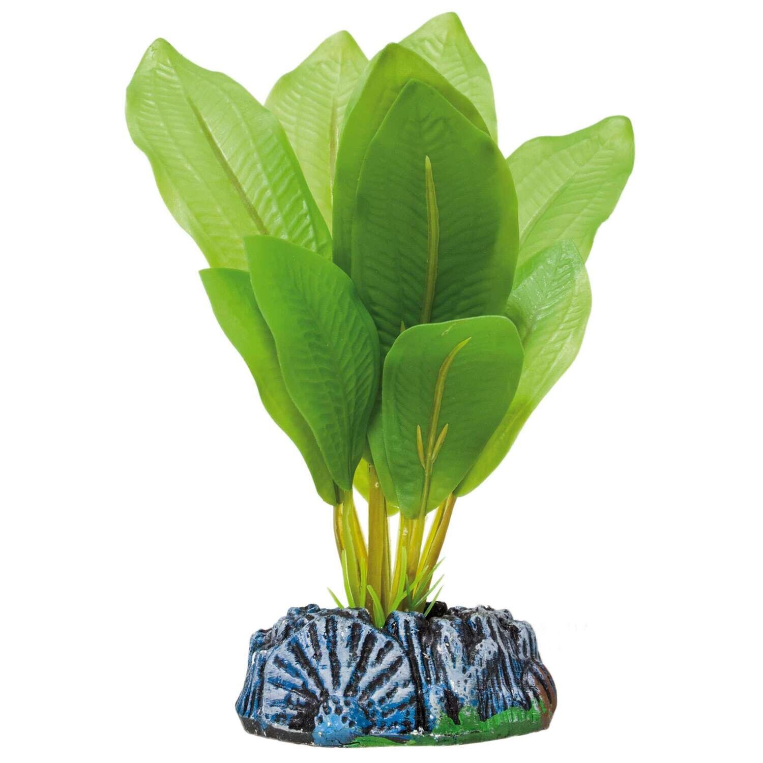 Echinodorus de AQUATIC PLANTS (PL�STICO) 14 cm