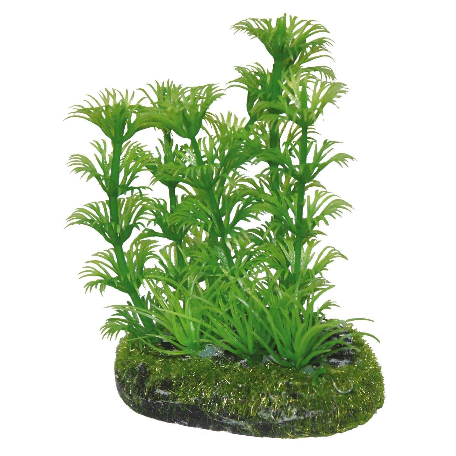Miriophyllium de AQUATIC PLANTS (PL�STICO) 8 cm