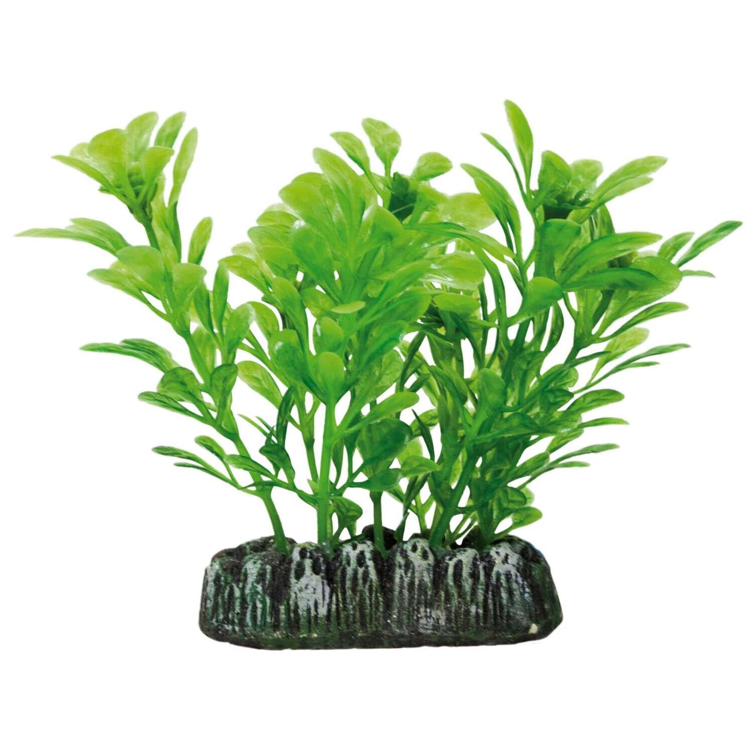 Samolus de AQUATIC PLANTS (PL�STICO) 8,5 cm