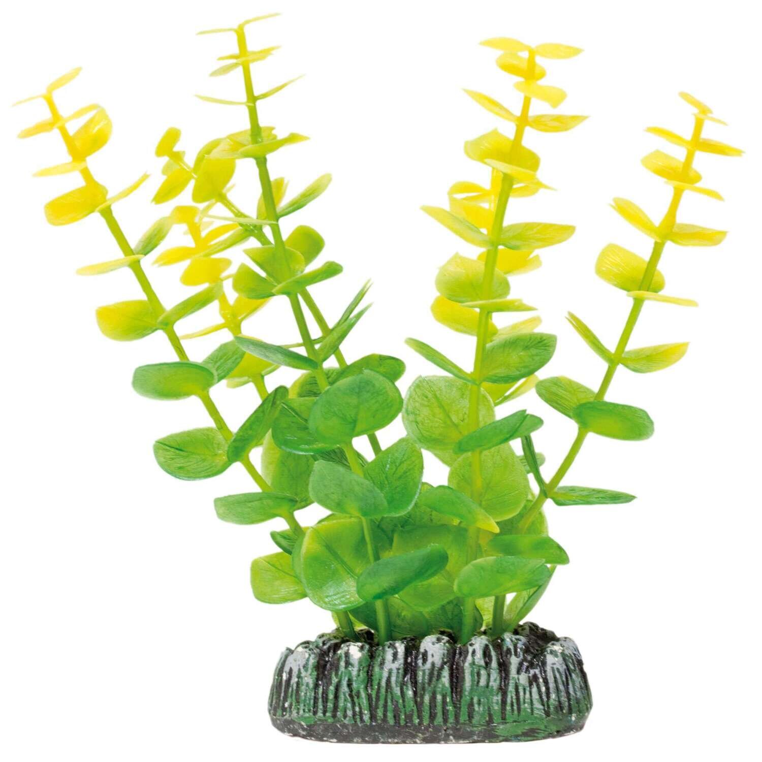 Bacopa de AQUATIC PLANTS (PL�STICO) 0x0x13 cm