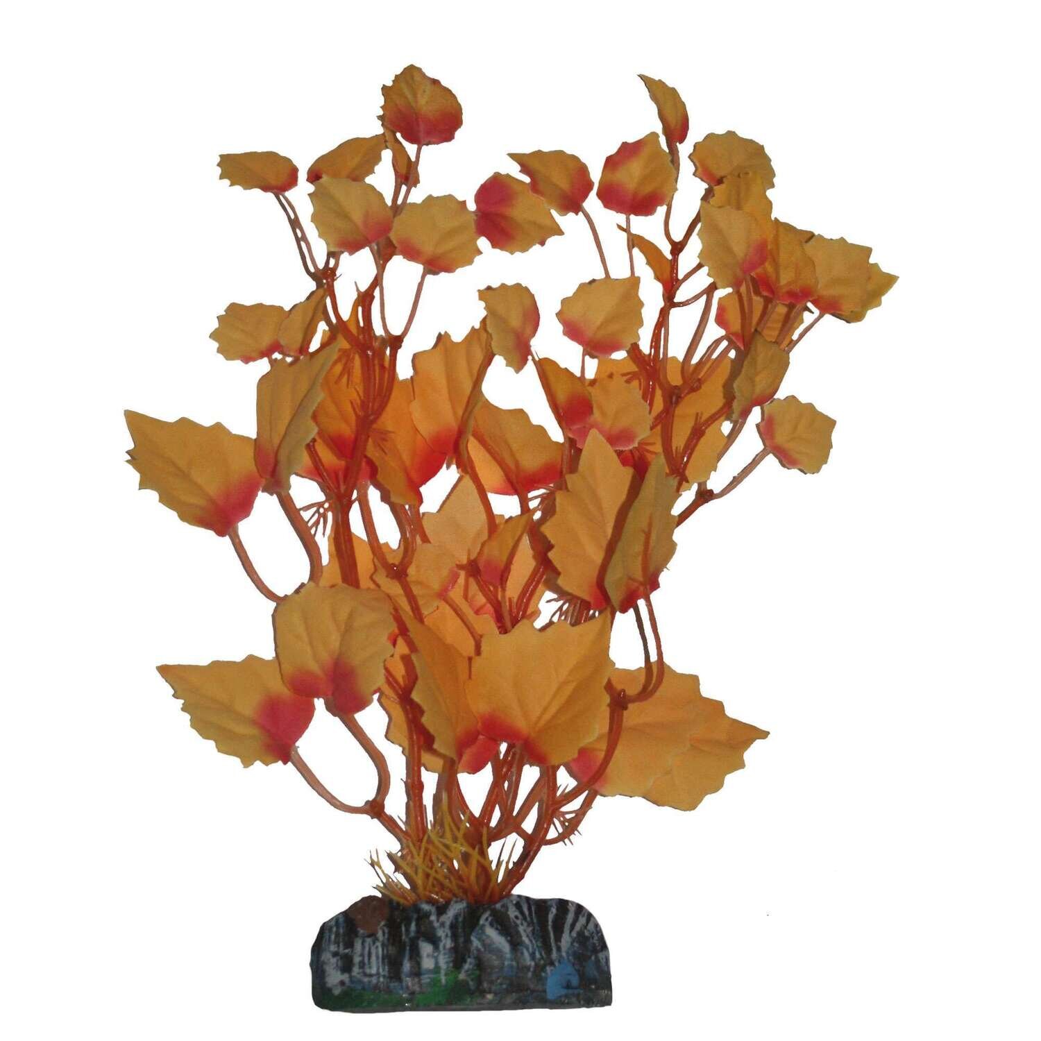 Hygrofila de AQUATIC PLANTS (SEDA) 40 cm