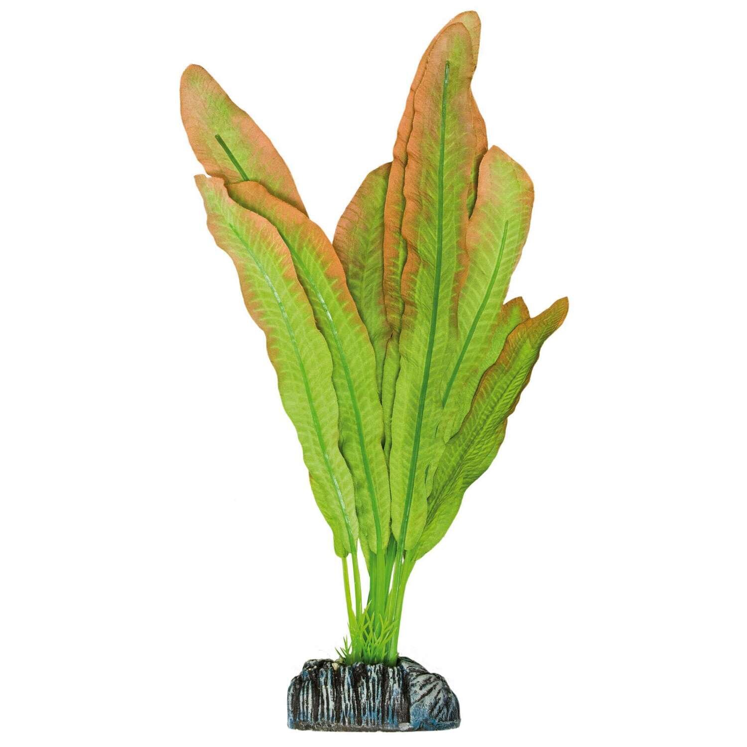 Microsorium de AQUATIC PLANTS (SEDA) 21 cm