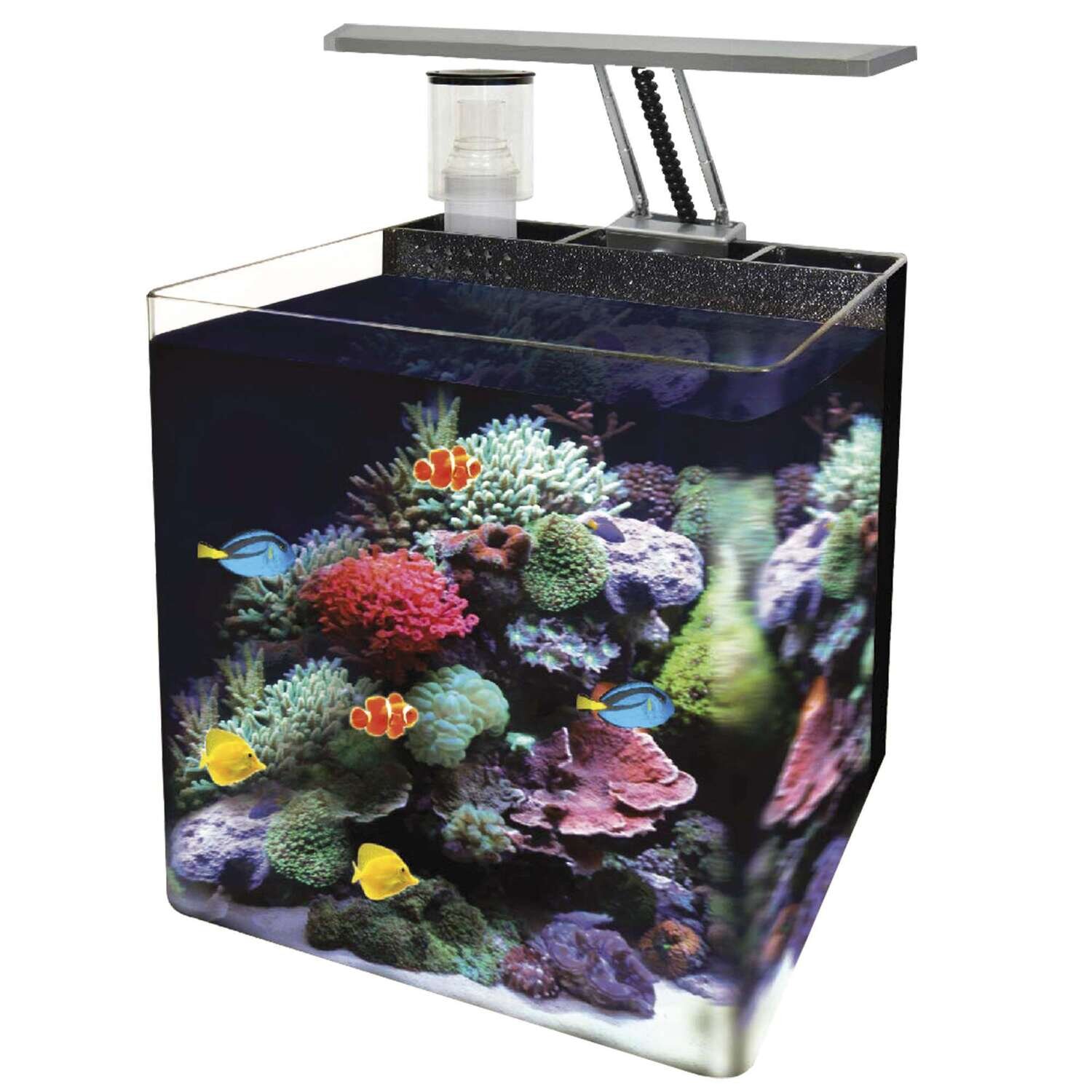 Nano Acuario marino OCEAN FREE 24x24x28 cm