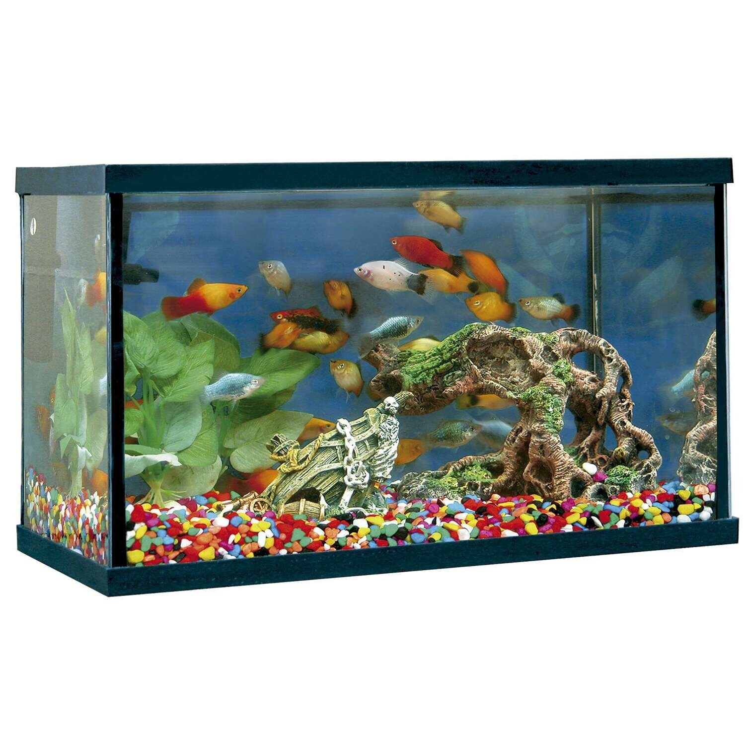 Acuario "happy pez" 35x20x21 cm