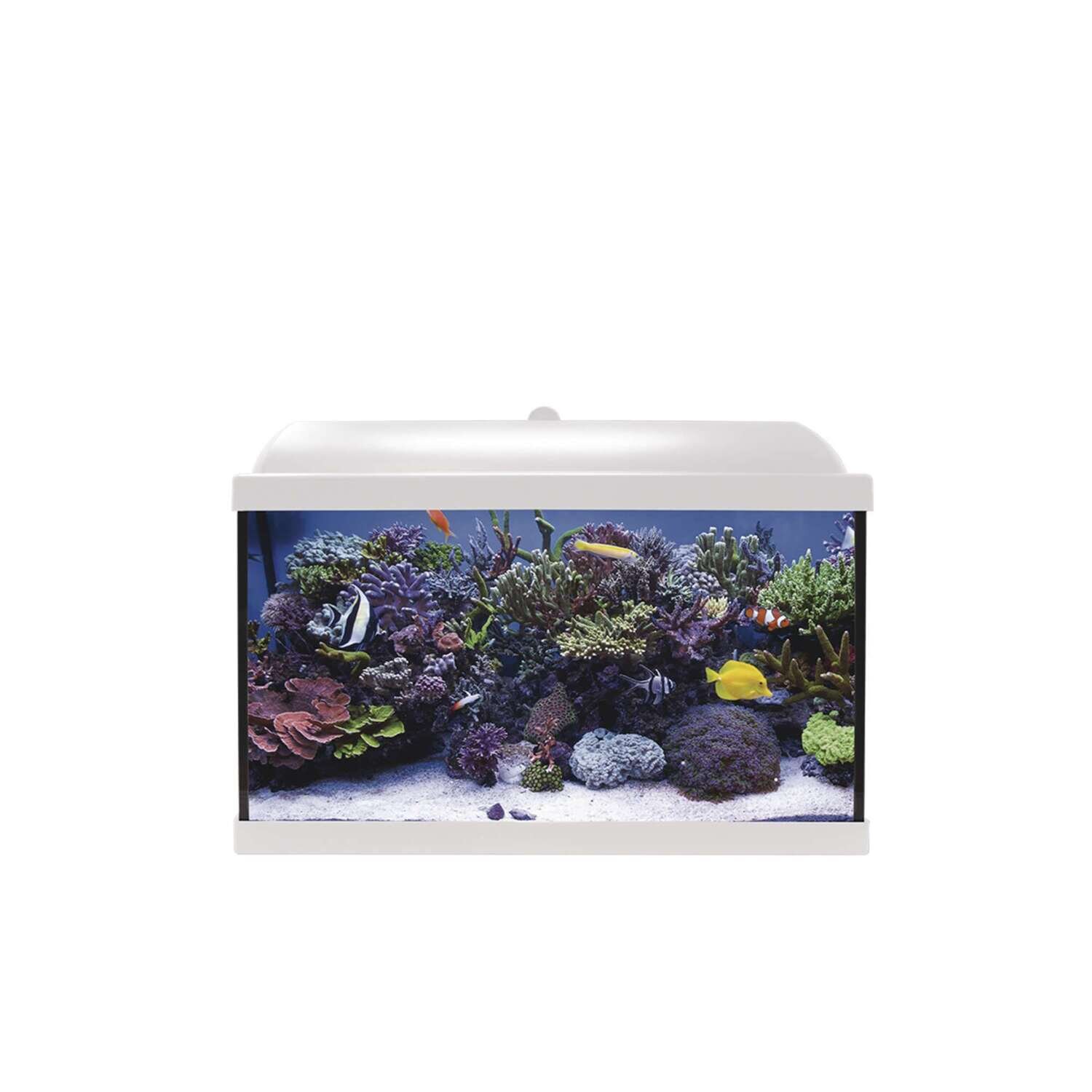 Kit Hydra 45 para agua salada 50,7x29x34,7 cm