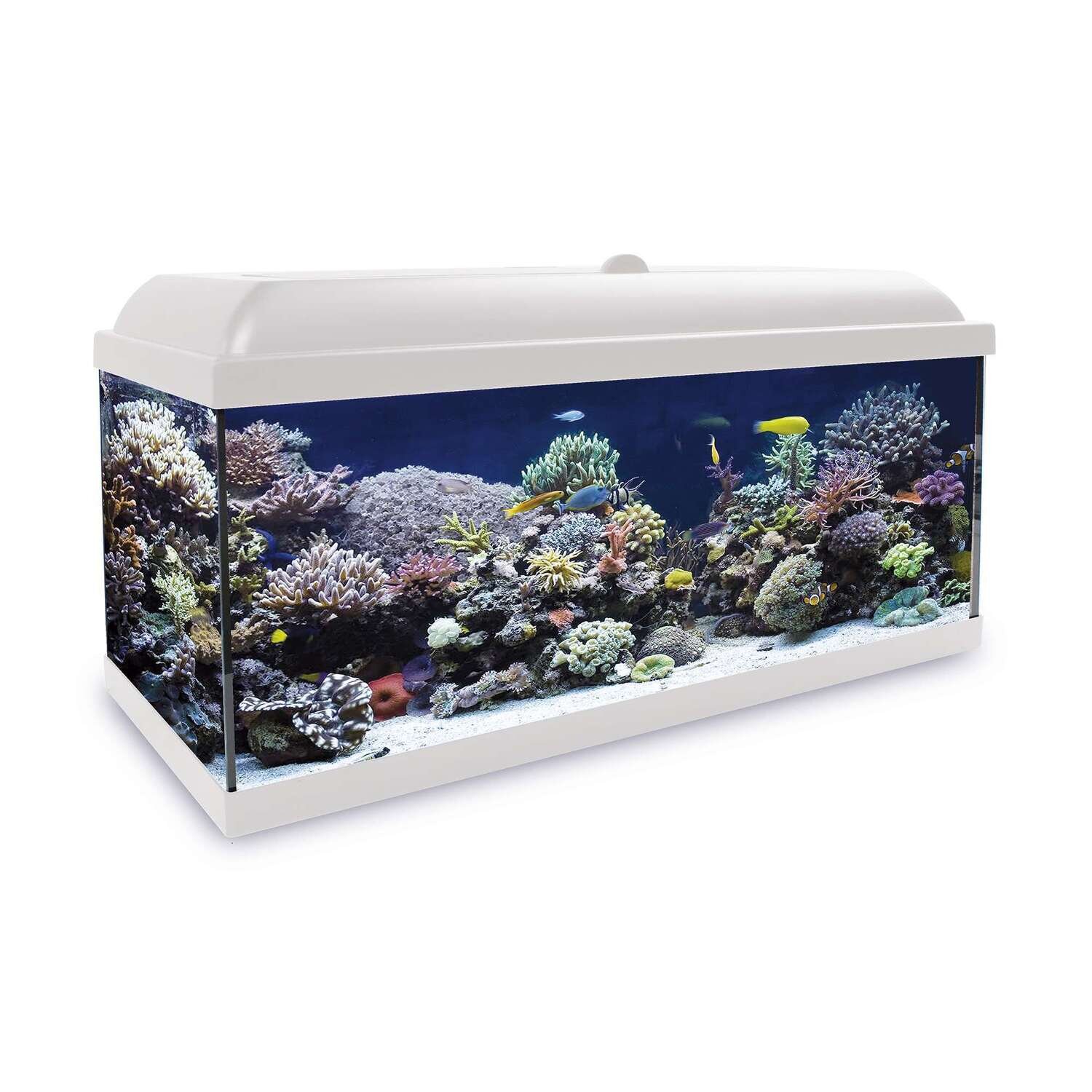 Kit Hydra 150 para agua salada 100x30,7x55,2 cm