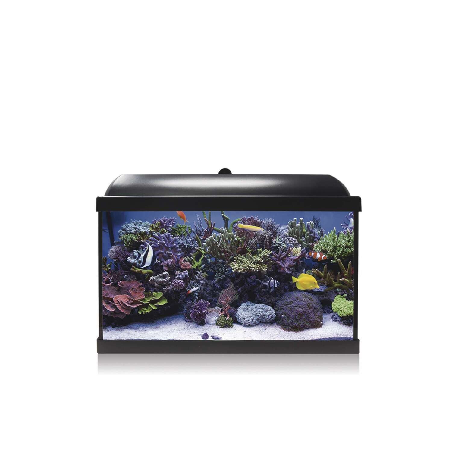 Kit Hydra 45 para agua salada 50,7x29x34,7 cm