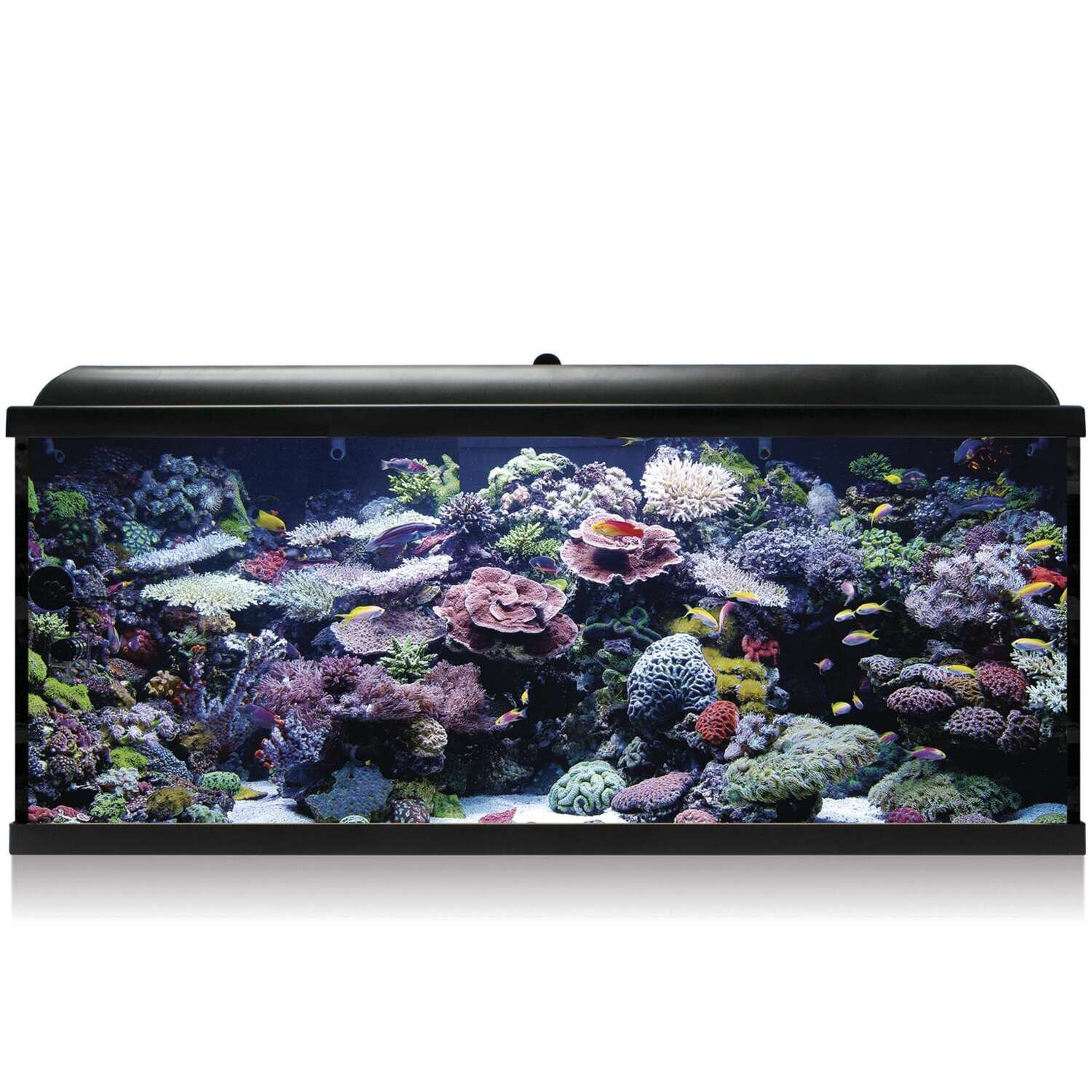 Kit Hydra 240 para agua salada 120x40x55,5 cm