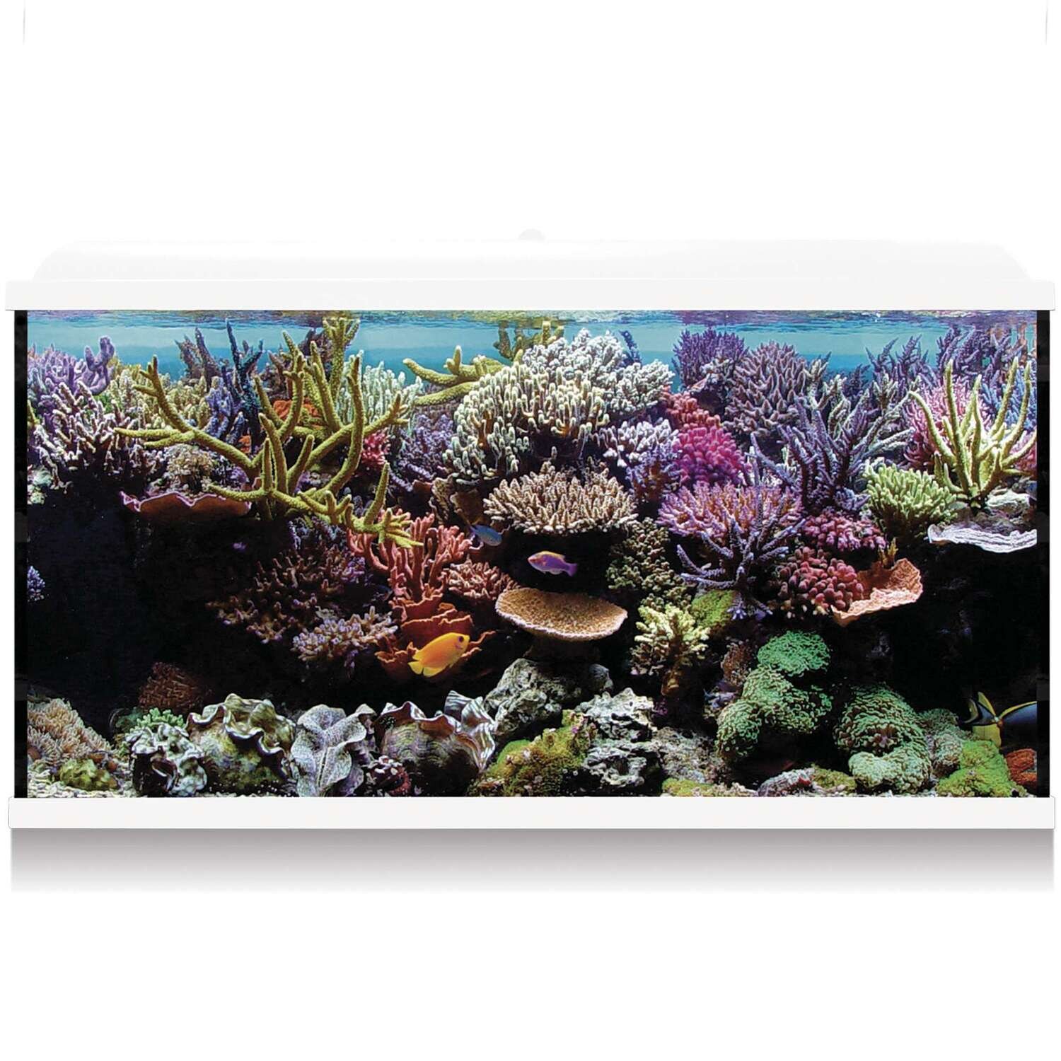 Kit Hydra 300 para agua salada 120x40x68,5 cm