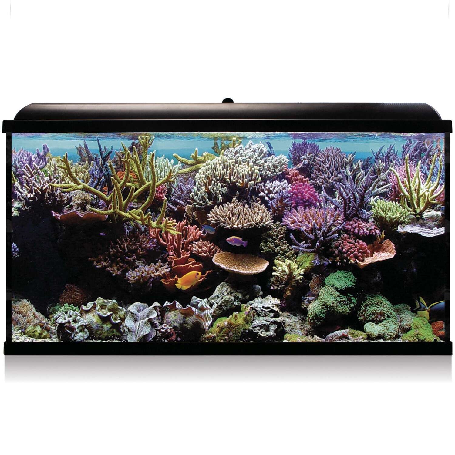 Kit Hydra 300 para agua salada 120x40x68,5 cm