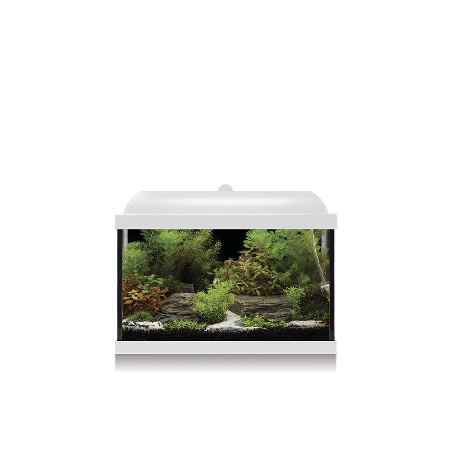 Kit AQUA LED PRO 25 con filtro interior 40,7x23,6x31,7 cm