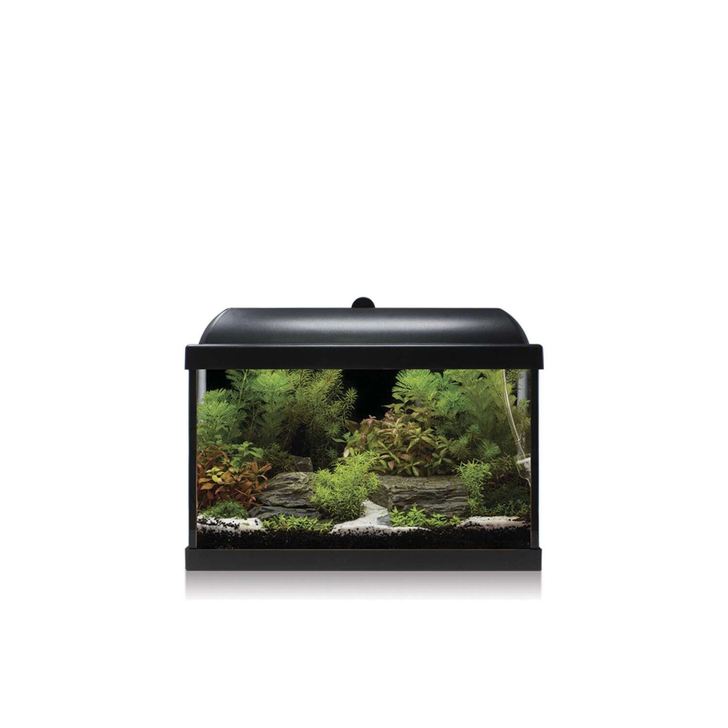 Kit AQUA LED PRO 25 con filtro interior 40,7x23,6x31,7 cm