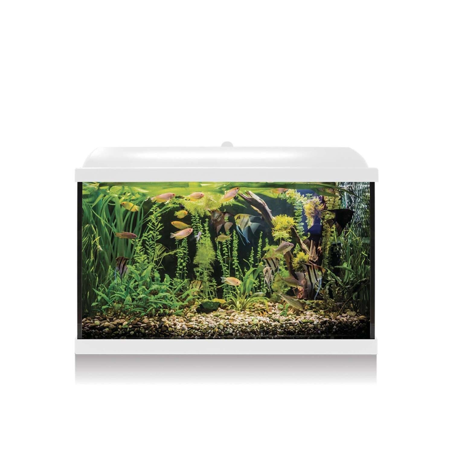 Kit AQUA LED PRO 68 con filtro interior 60x30,6x42,2 cm