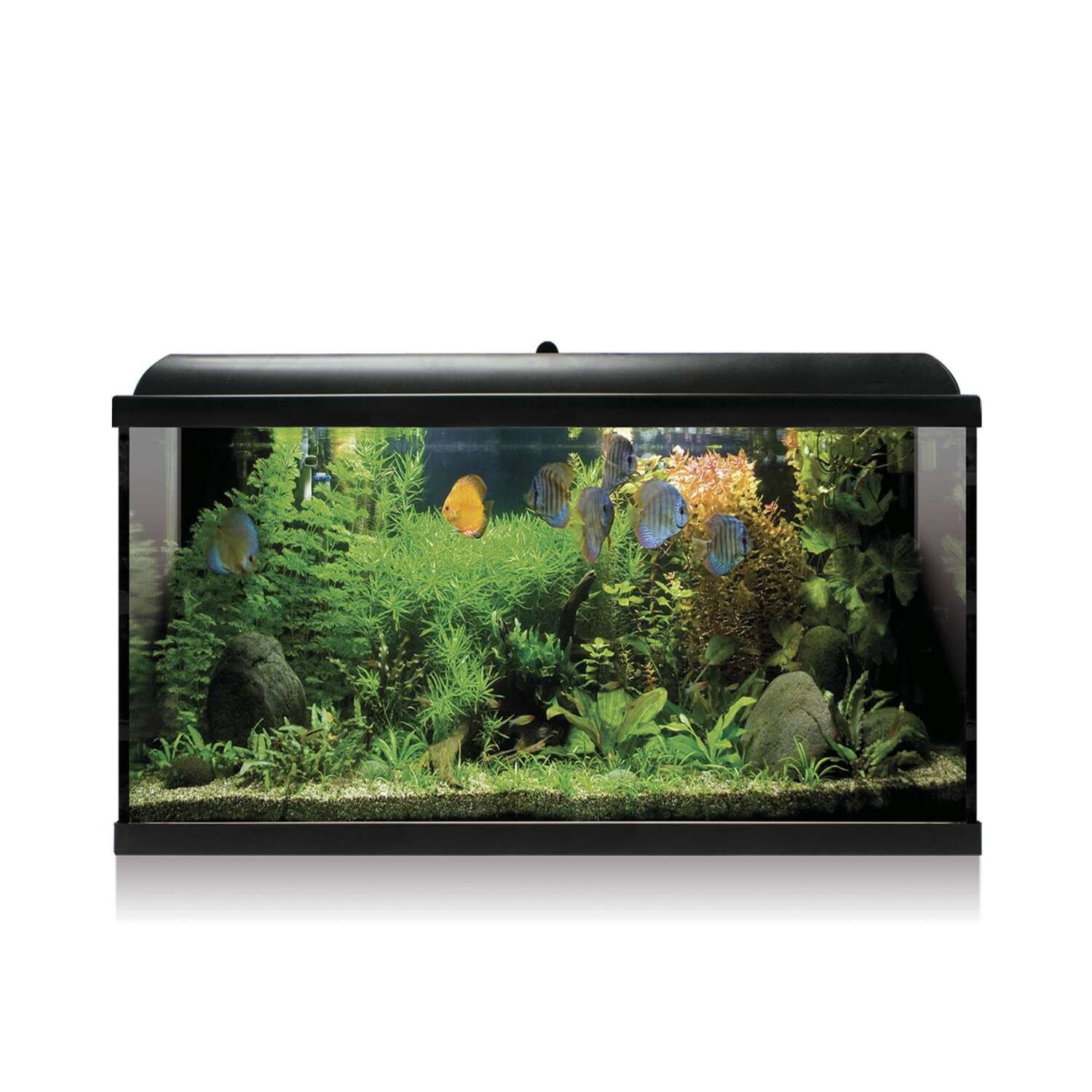Kit AQUA LED PRO 100  con filtro interior 80x30,9x47,2 cm