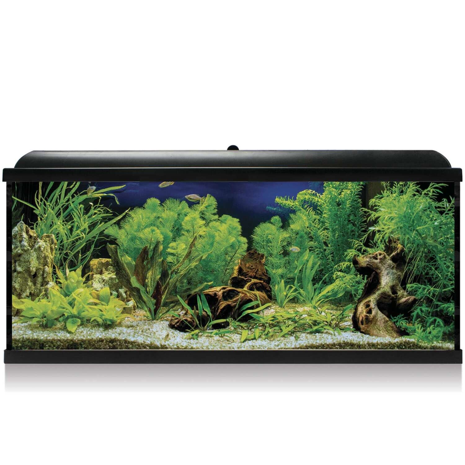 Kit AQUA LED PRO 130 con filtro interior 100x30,7x47,5 cm