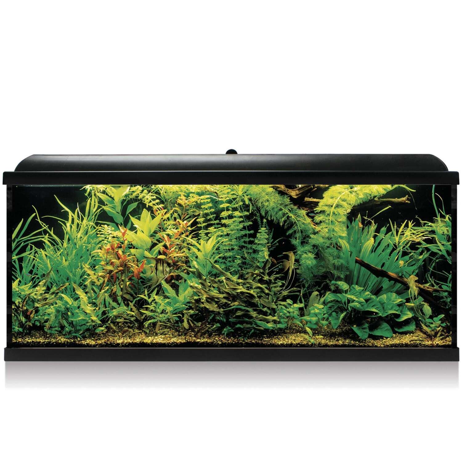 Kit AQUA LED PRO 240 con filtro exterior 120x40x55,5 cm
