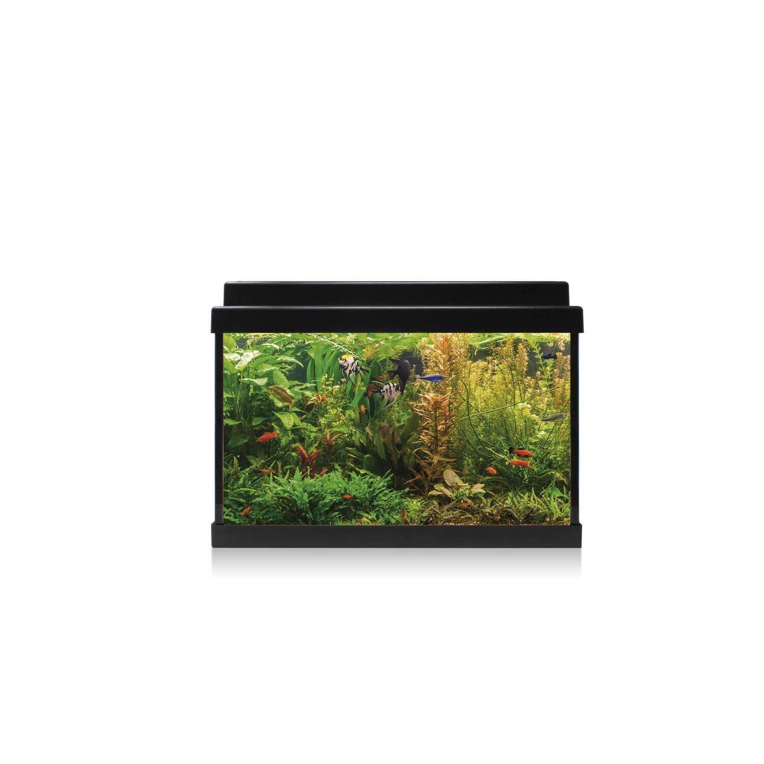 Kit AQUA LED 20 con filtro interior 40,7x20,2x29,2 cm
