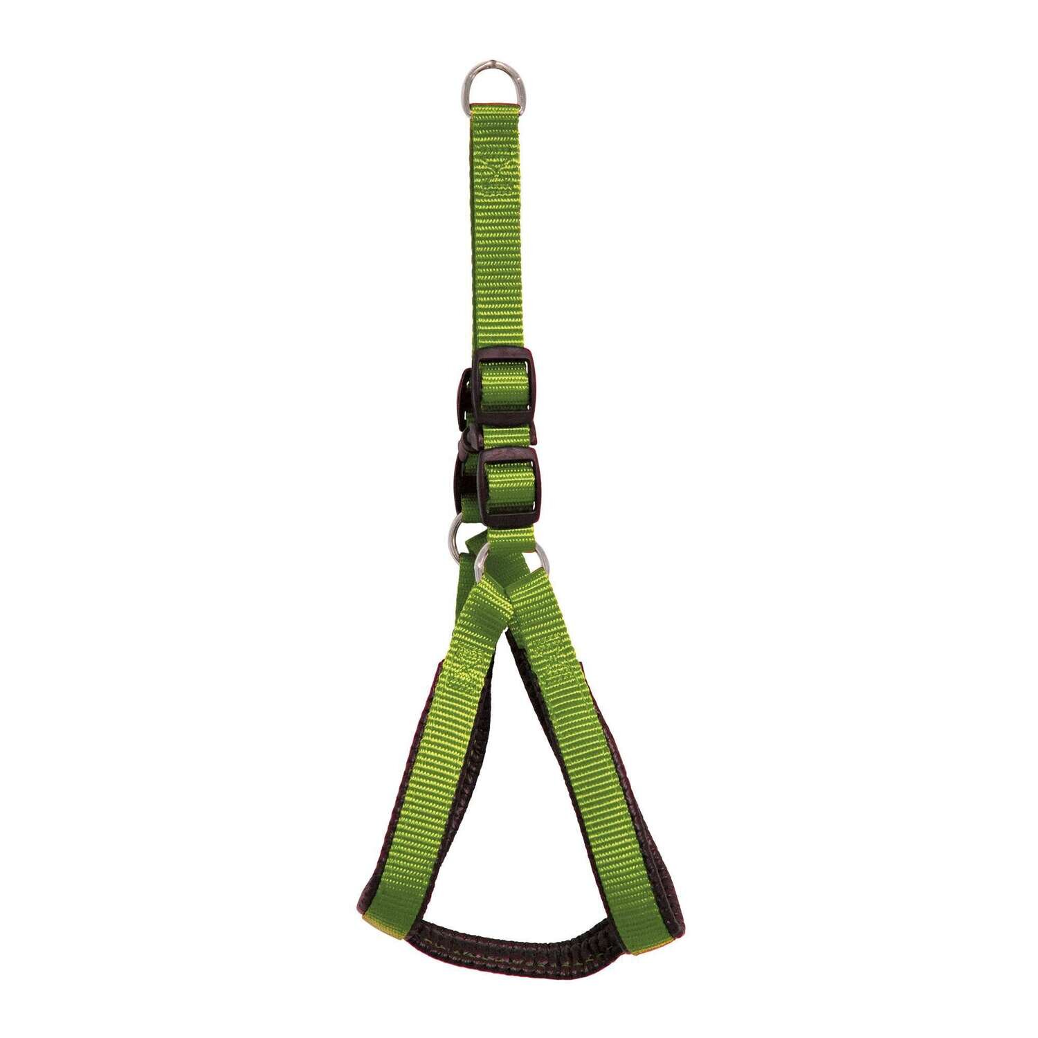 Arn�s Lisa Forrada ICA Cuello 39 cm Pecho 40-45 cm