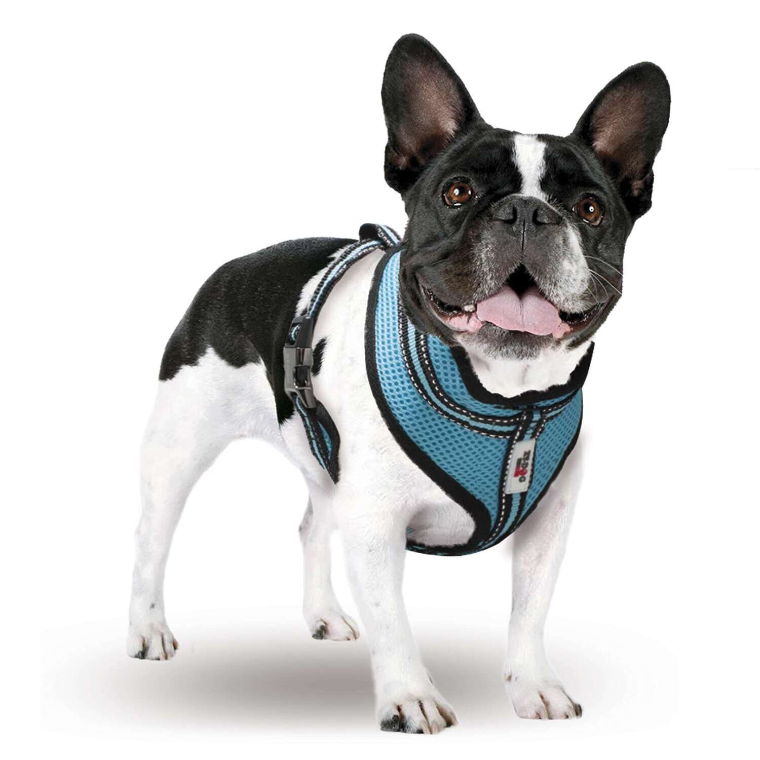 Arn�s Summer XT-DOG Cuello 23 cm Pecho 42-54 cm