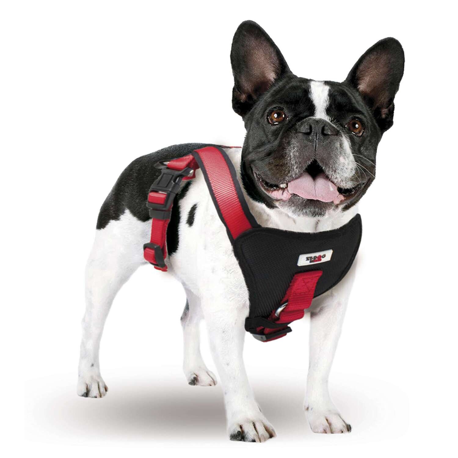 Arn�s Extreme XT-DOG Cuello 64 cm Pecho 76-92 cm