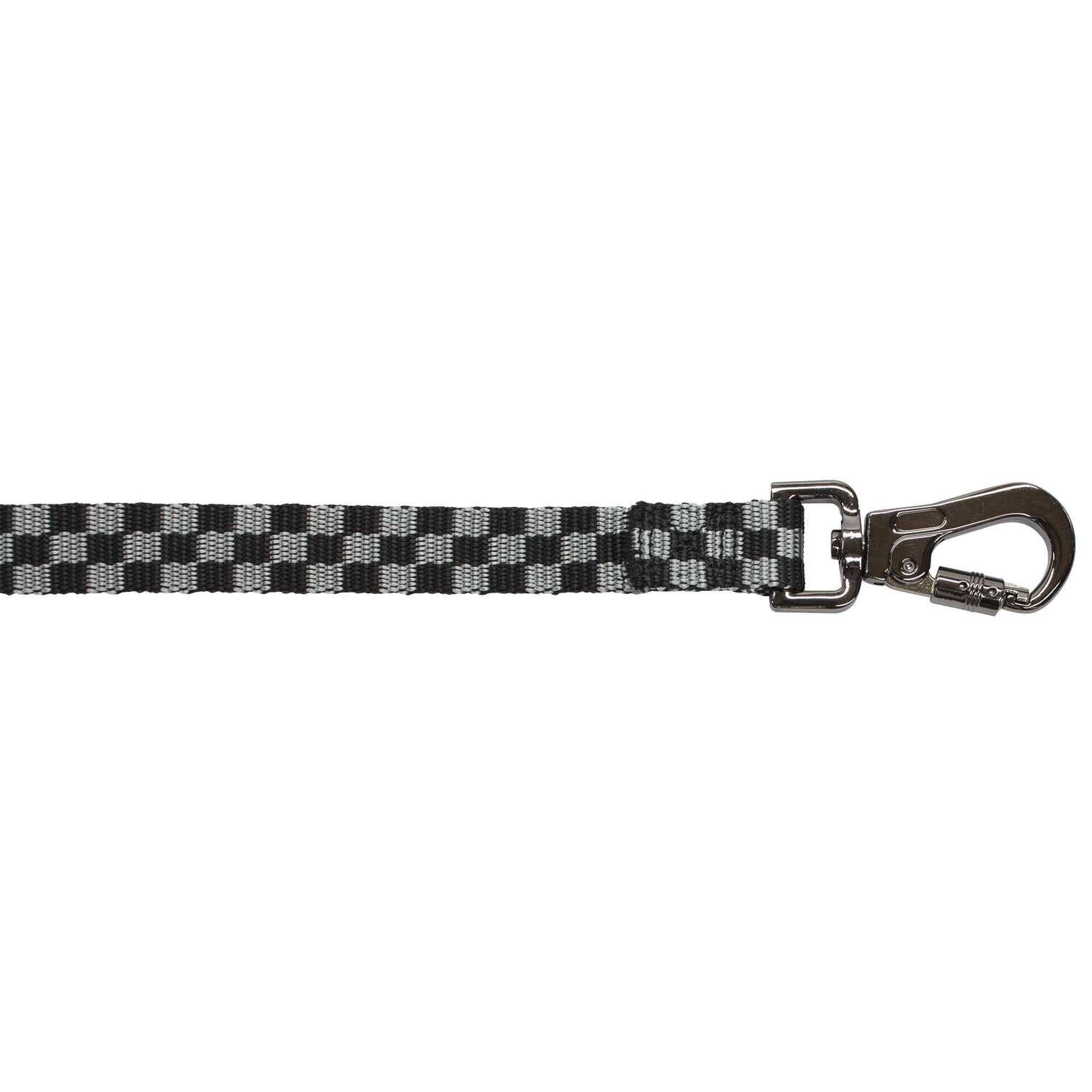 Correa Race XT-DOG 120x1,6 cm