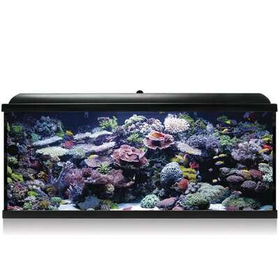 Kit Hydra 240 para agua salada 120x40x55,5 cm