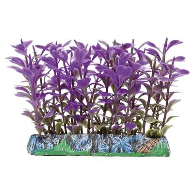 Salvacr�as Trichocoronis AQUATIC PLANTS (PL�STICO) 9x7,5 cm