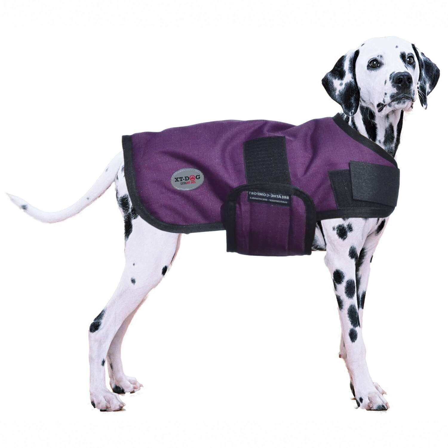 Abrigo Winter XT-DOG 40